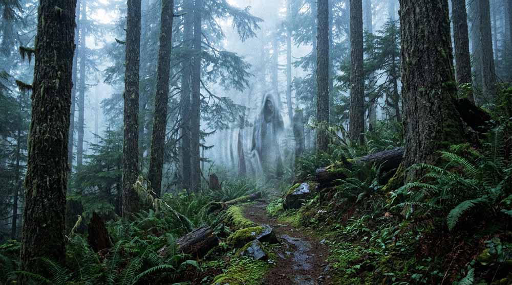 Vanishing Acts in America’s Darkest Wilderness Corners